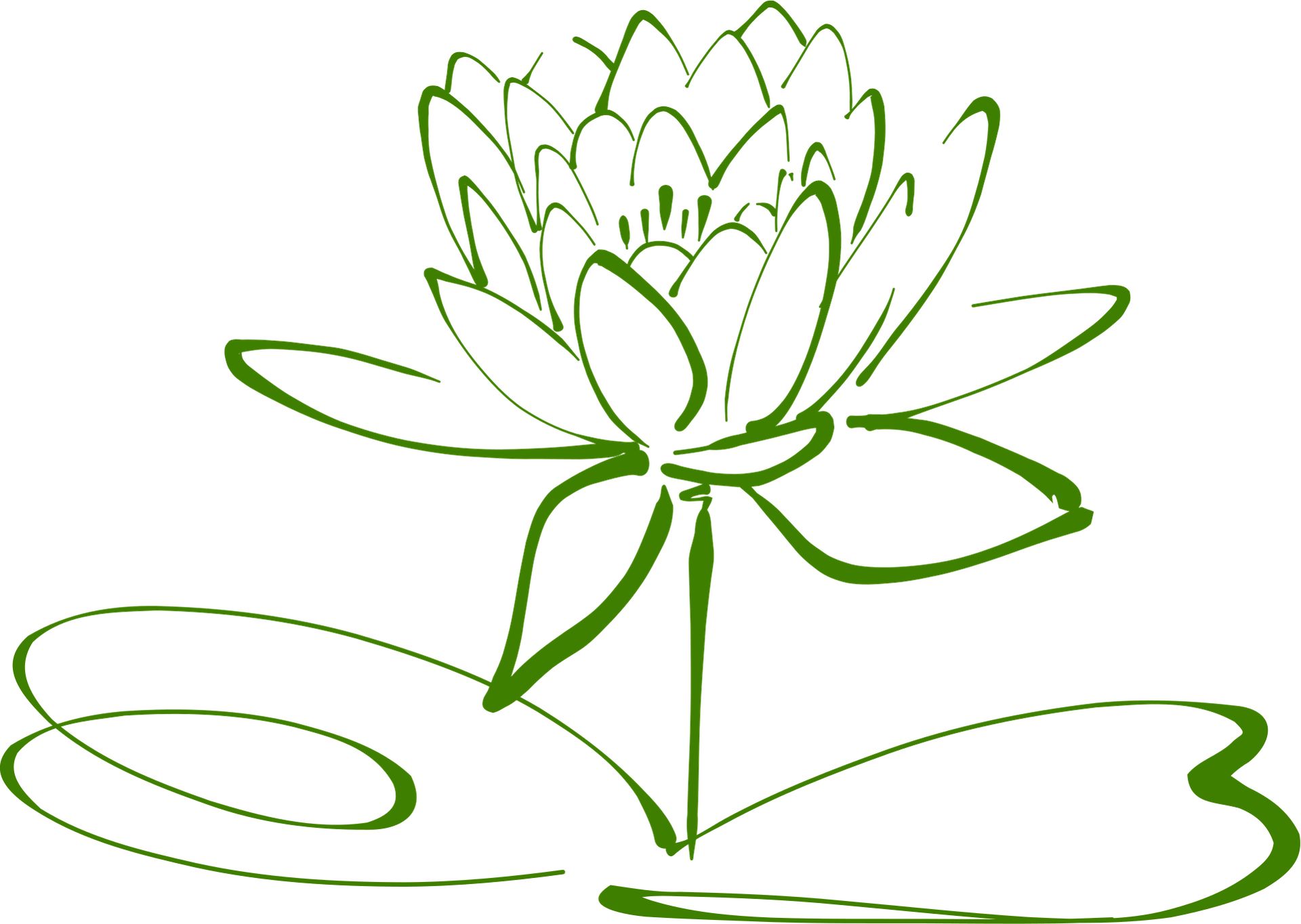 lotus design