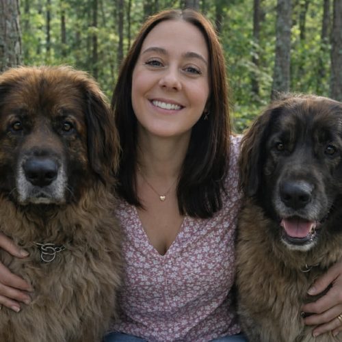 898d6829 a676 4ce8 83c0 683b3fb20f16